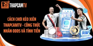 Cách Chơi Kèo Xiên Thapcamtv - Công Thức Nhân Odds Và Tính Tiền