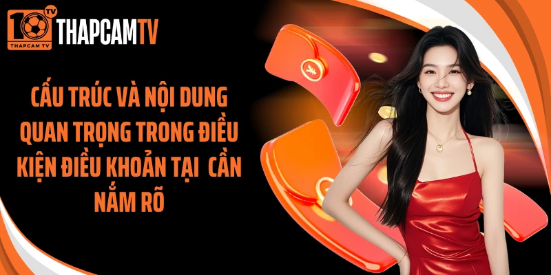 Cấu trúc và nội dung quan trọng trong điều kiện điều khoản tại  cần nắm rõ