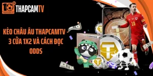 Kèo Châu Âu Thapcamtv - 3 Cửa 1X2 Và Cách Đọc Odds