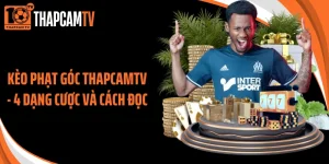 Kèo Phạt Góc Thapcamtv - 4 Dạng Cược Và Cách Đọc