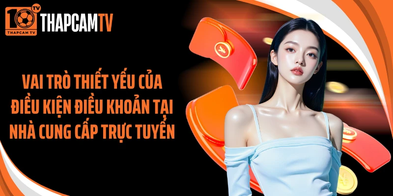 Vai trò thiết yếu của điều kiện điều khoản tại nhà cung cấp trực tuyến